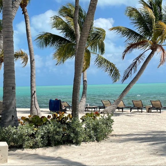 Meet your Posher, Catherine - Picture 4 of 16